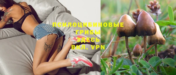 твердый Алзамай