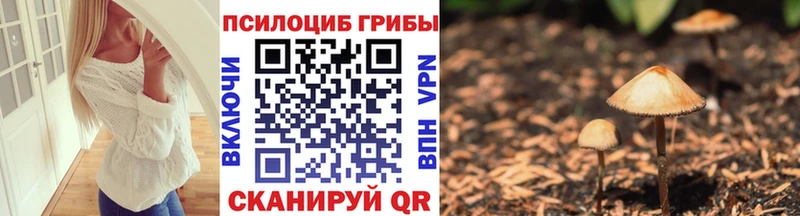 сколько стоит  Куса  Псилоцибиновые грибы GOLDEN TEACHER 